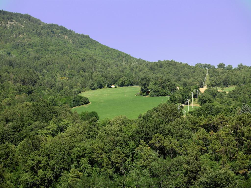 Euro Hotel Pieve Santo Stefano Bagian luar foto