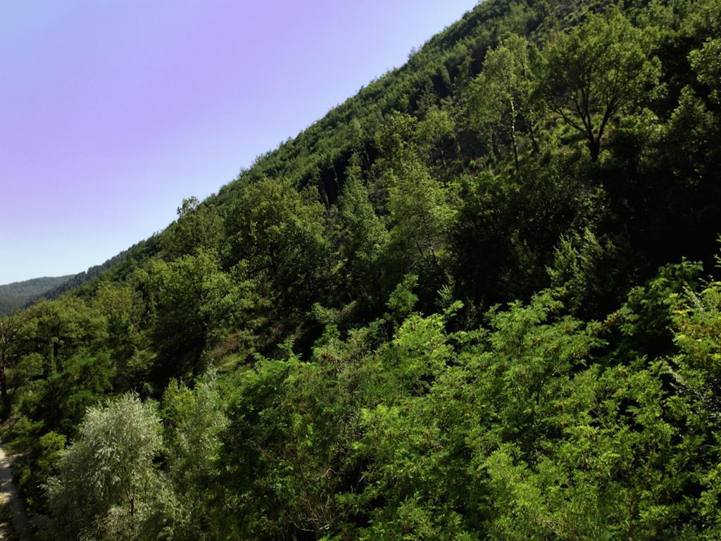 Euro Hotel Pieve Santo Stefano Bagian luar foto